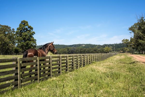 Horse Fence Repair Service