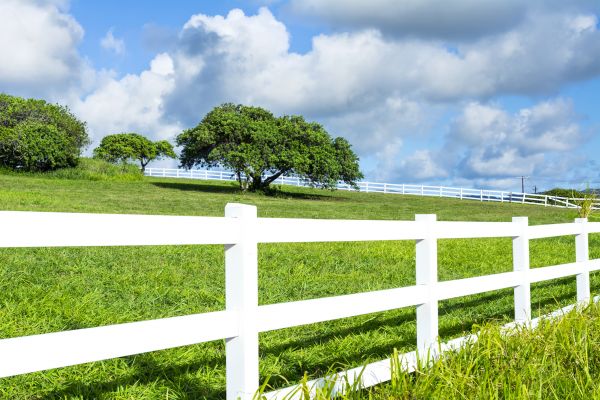 Fence Rail Replacement Service