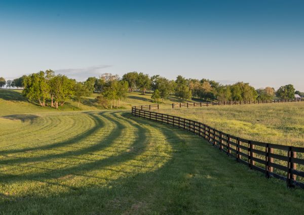 Equine Fence Repair Service